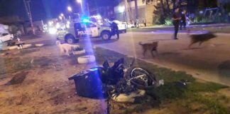 Grave accidente en Camino general Belgrano Accidente vehicular en Camino General Belgrano y calle 843