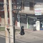 Un peligro: Semáforo de Av San Martín cuelga de un cable