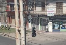 Un peligro: Semáforo de Av San Martín cuelga de un cable