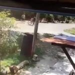 Delincuente robó bicicleta a las piñas en calle 894