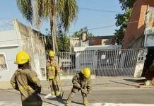 Camión volcó aceite y provocó un accidente