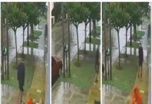 Mujer se defendió a las piñas de un robo en Quilmes