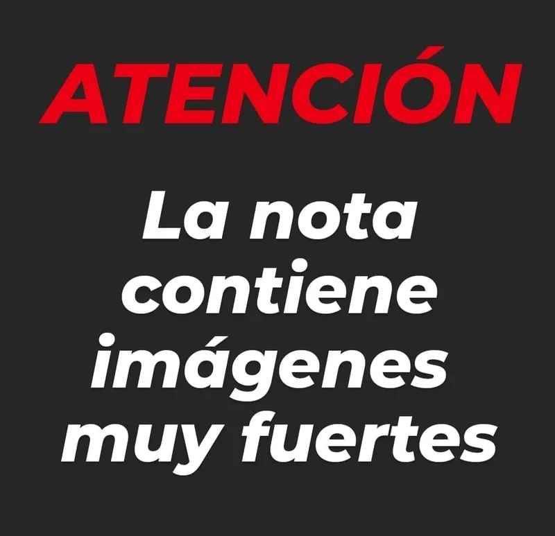 Delincuente abatido tras intento de robo