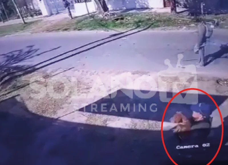 Le pagó a dos pibes para que le corten el pasto y le robaron el perro Le pagó a dos pibes para que le corten el pasto y le robaron el perro