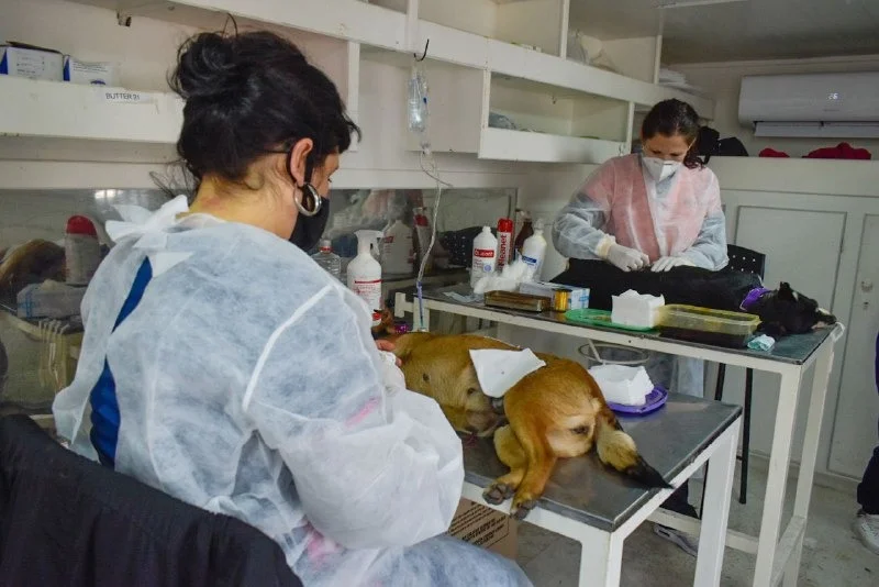 Operativo de Zoonosis en Barrio La Paz