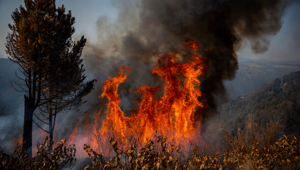 Llovió en Chubut, pero persisten los focos de incendio: “Estamos atravesando la peor sequía desde 1965”