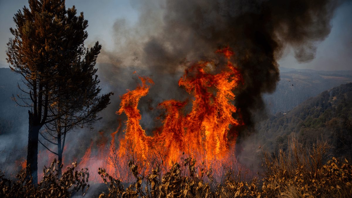 Llovió en Chubut, pero persisten los focos de incendio: “Estamos atravesando la peor sequía desde 1965”