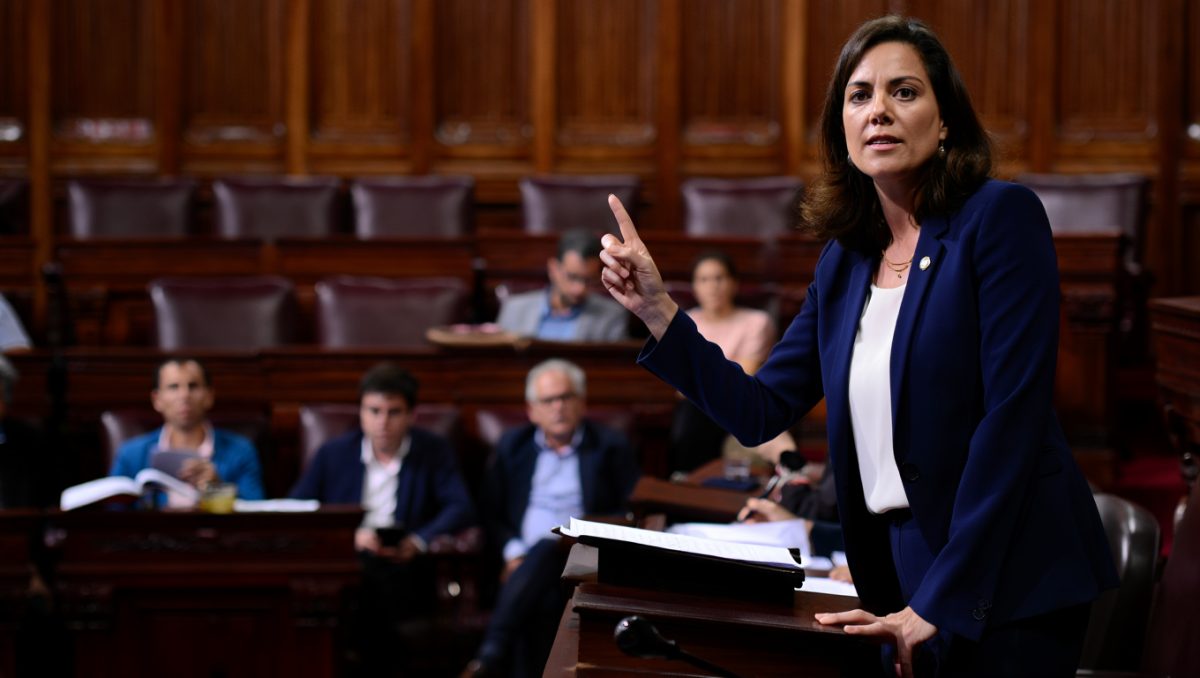 Bullrich defendió la reforma laboral en el Senado y habló de una norma “trascendente”