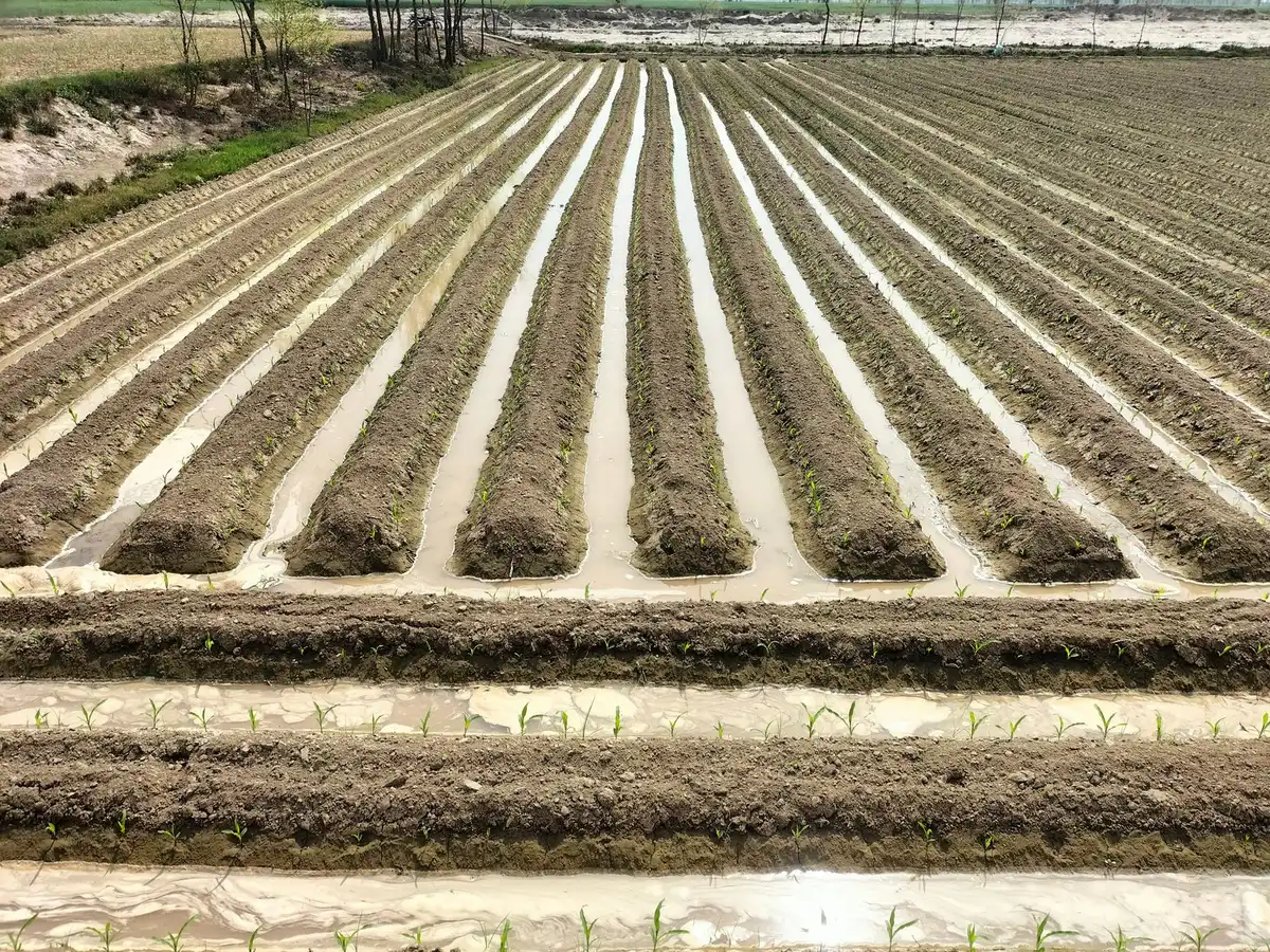 Suelo saturado de agua en zona rural con drenaje deficiente