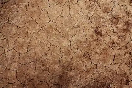 Campo agrícola reseco con grietas en el suelo y nubes de tormenta al fondo