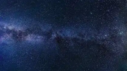 Manos anónimas sosteniendo fotografías y flores en un espacio privado e iluminado suavemente