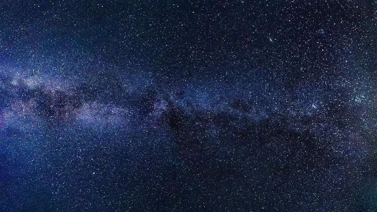 Manos anónimas sosteniendo fotografías y flores en un espacio privado e iluminado suavemente