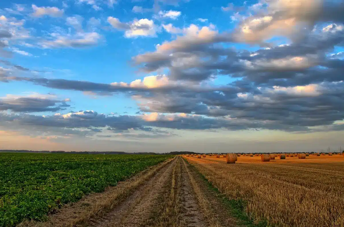 Campos anegados tras fuertes lluvias y un camino rural inundado