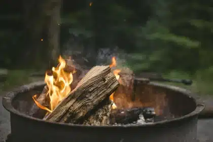 Parrilla con brasas y leña apilada, manos anónimas cuidando el fuego junto a un cerro arbolado