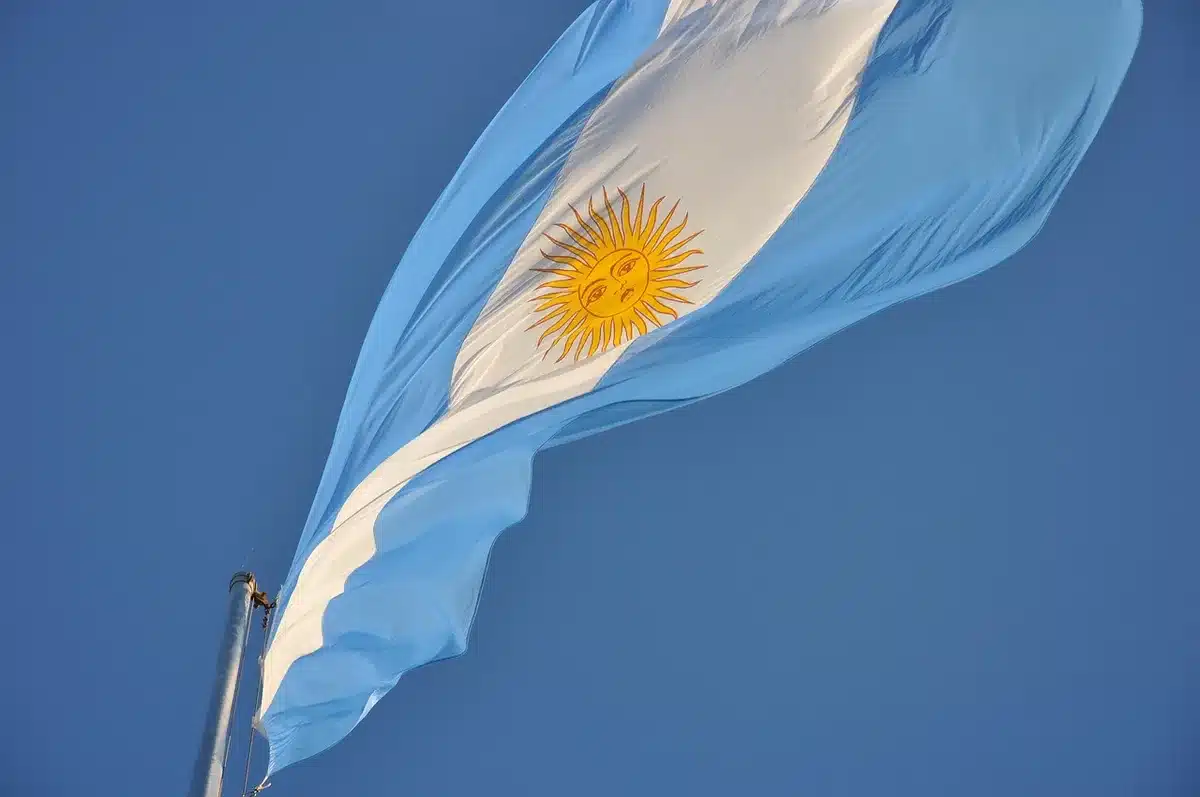 Fan anónimo con bandera argentina en una multitud durante el show